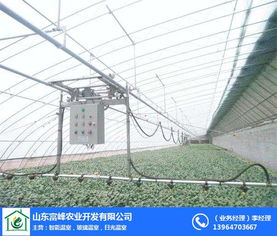 日光溫室骨架在現代化農業中的關鍵作用——以富峰農業為例