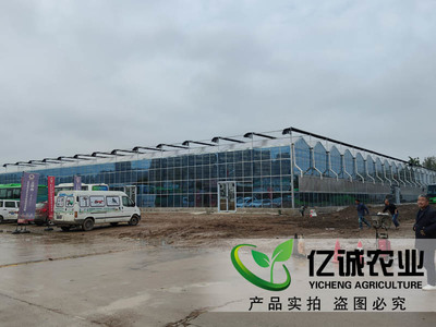 科技賦能農業新篇章 探秘陜西西安巨坤花卉智能玻璃溫室