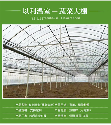 以利農業(yè) 專業(yè)化設計與一站式服務，打造高效智能的花卉養(yǎng)殖大棚與連棟玻璃溫室