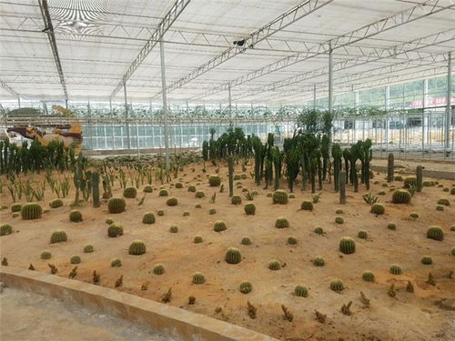 智能溫室助力現代農業(yè)發(fā)展 青州瀚洋農業(yè)的工程設計解析